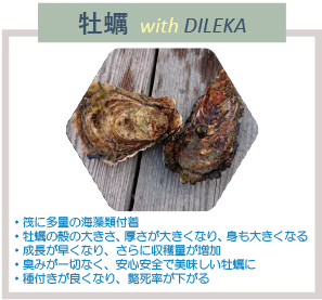 y with DILEKA