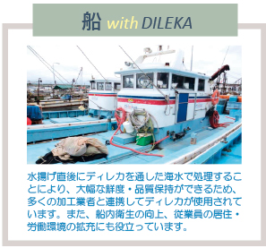 D with DILEKA