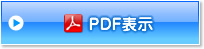 PDF表示